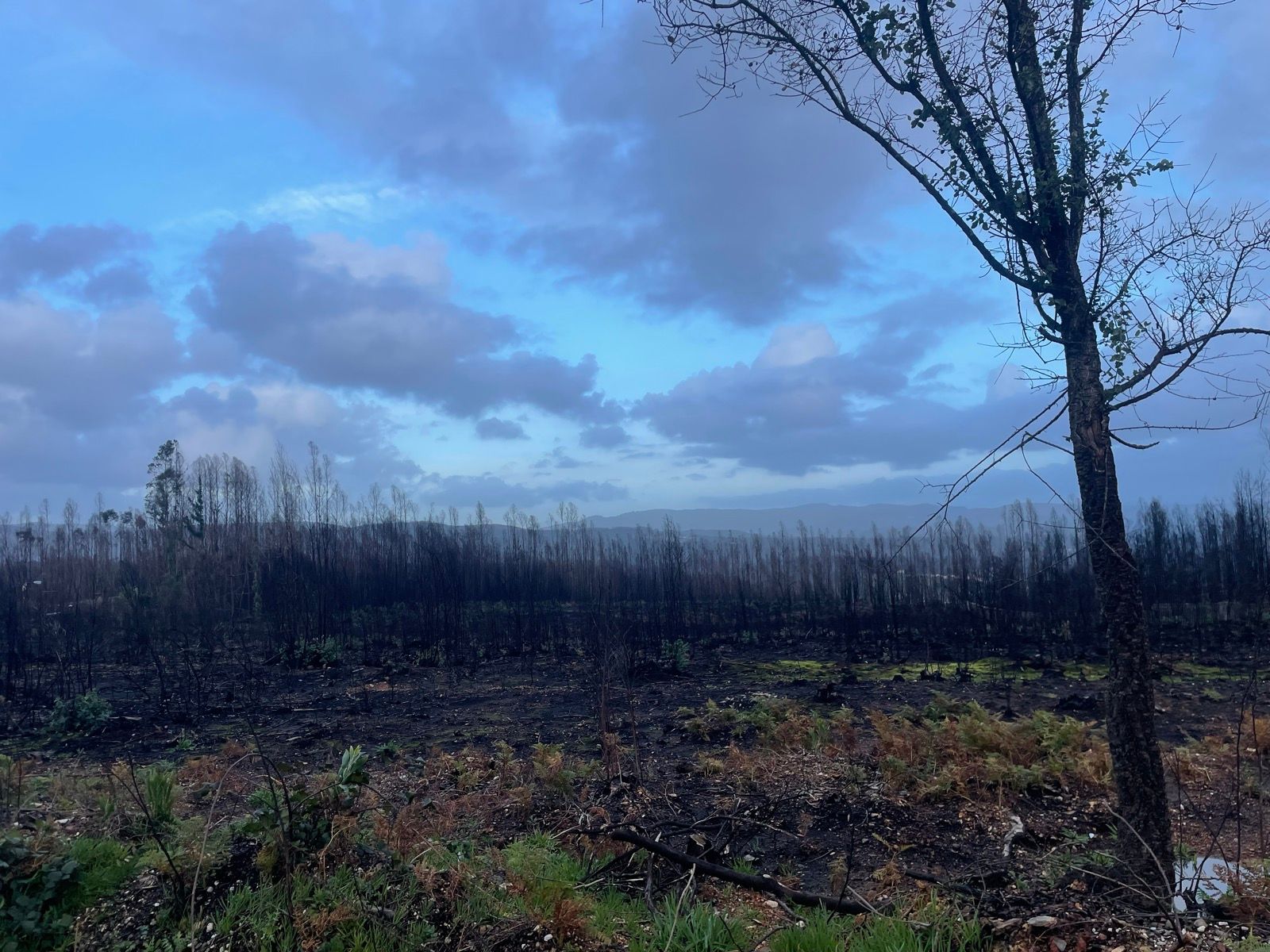 We're flipping tipping!