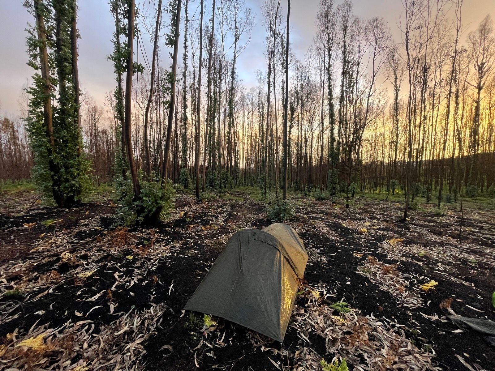 Irreversible inertia?