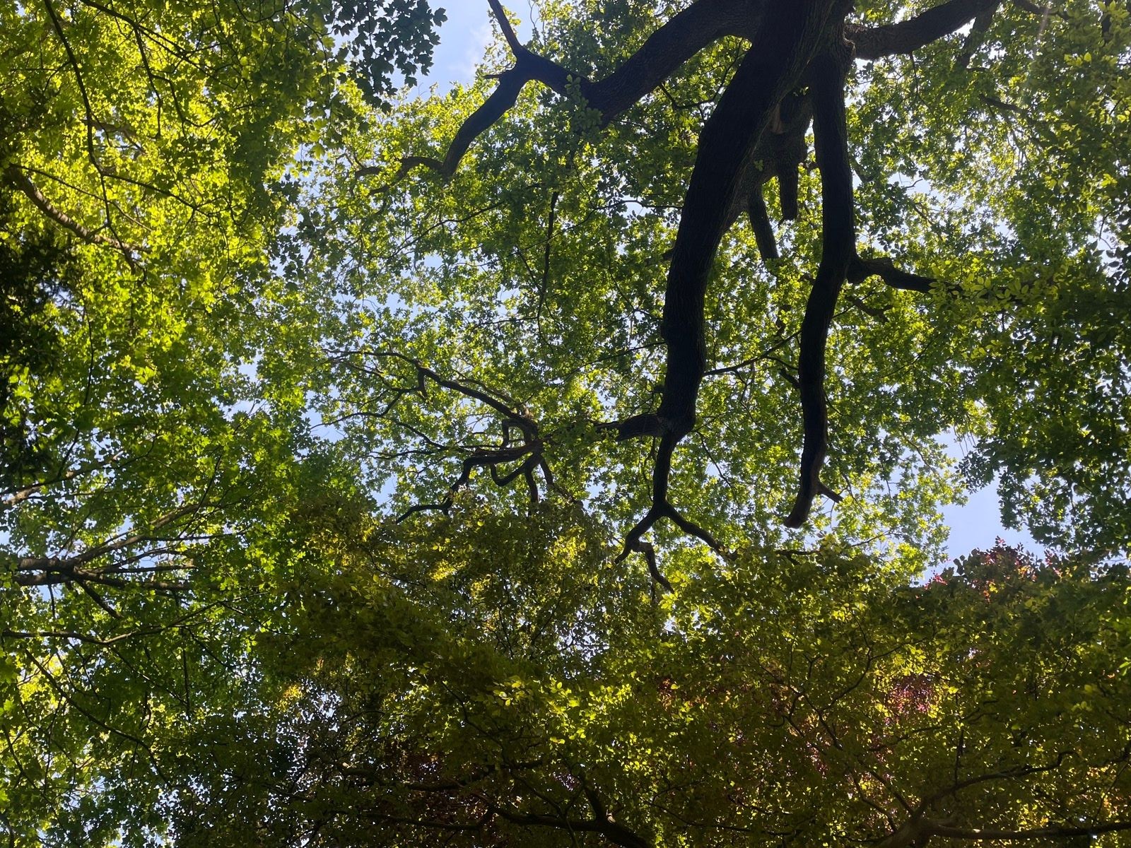 Untethering oneself: consciousness